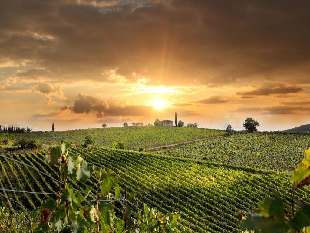 WINE, DINE & GOOD TIMES IN TUSCANY - 7 NIGHTS 8 ...
