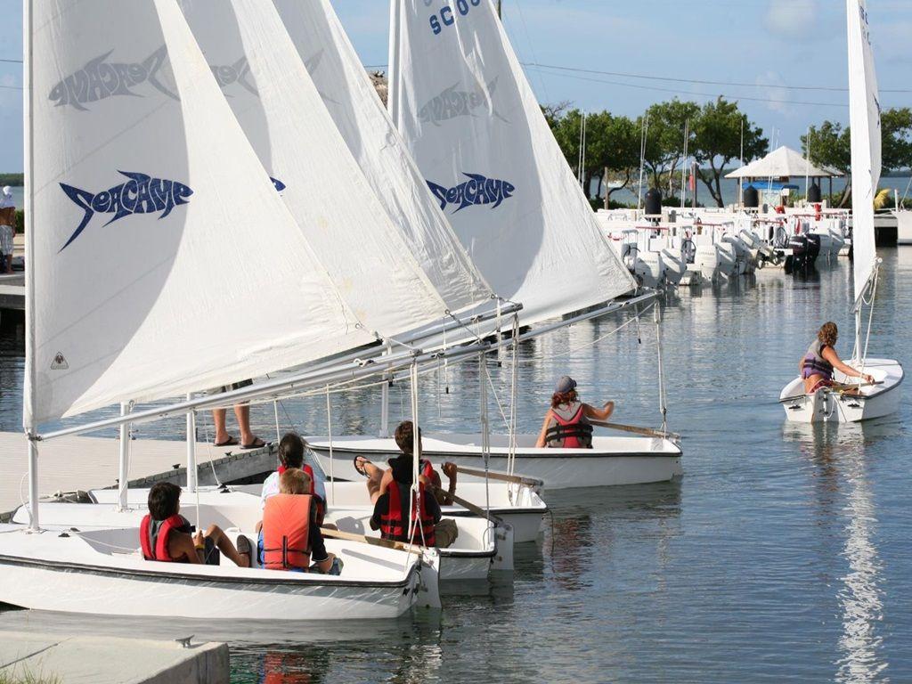 Seacamp One Week Daycamp Scholarship for Campers Age...