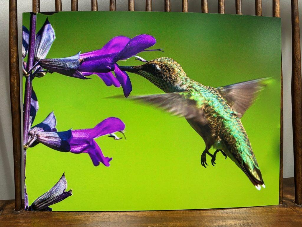 Emerald in Motion – 24” x 18” Humm...