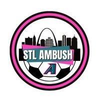 Ambush Indoor Soccer Sideline Passes