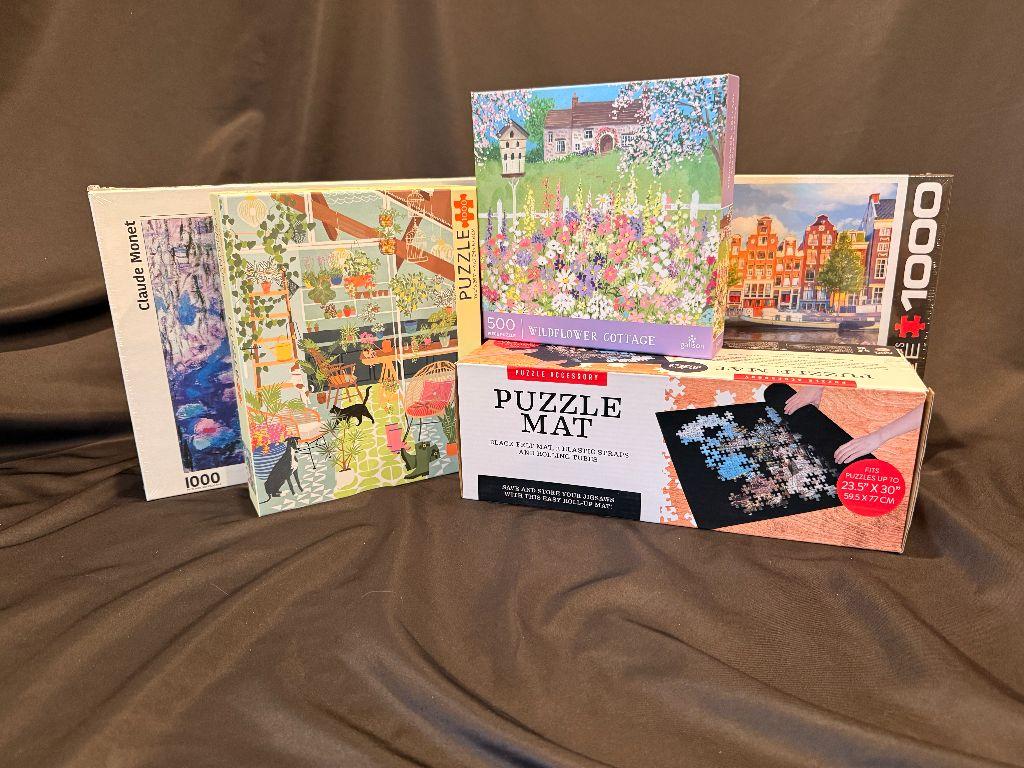 Assorted Puzzle Gift Bundle
