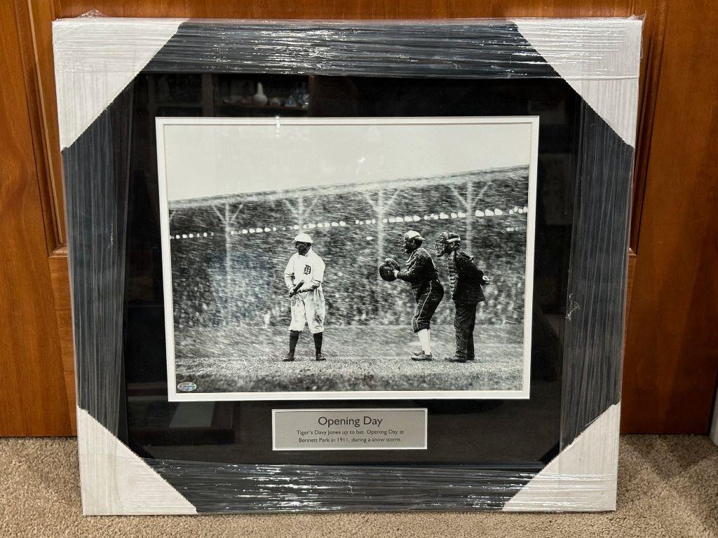 Detroit Tigers Davy Jones Framed Historical Photo