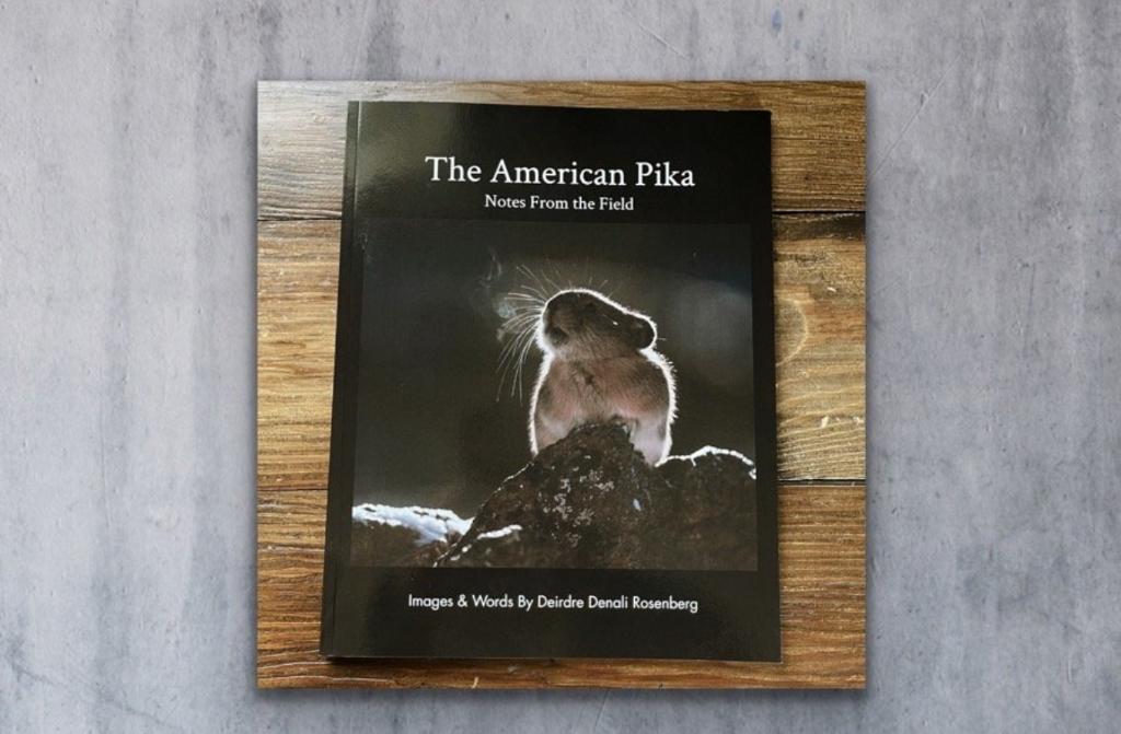 The American Pika: Notes from the Field