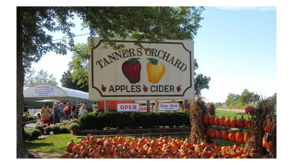 A fun filled day at Tanners Orchard!