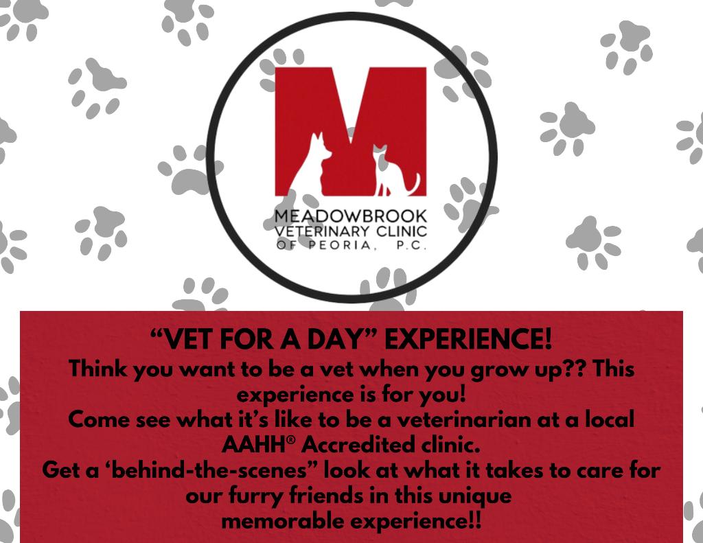 Be A Veterinarian for a Day!