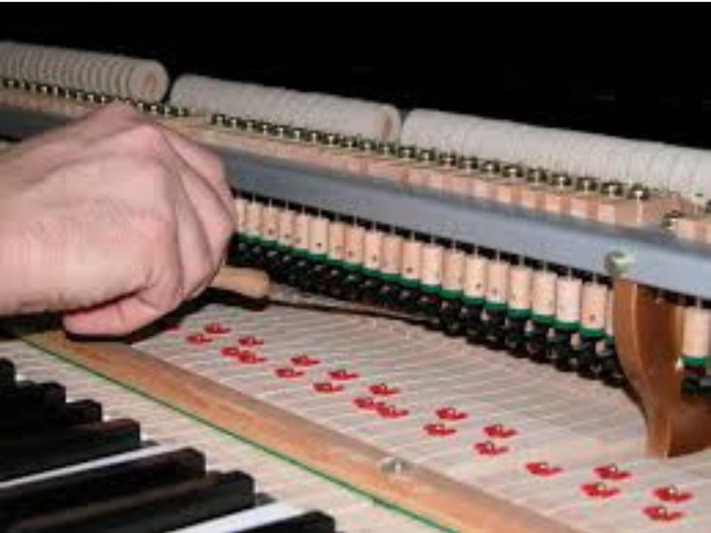 Tuning and Full-day Regulation for your Grand Piano