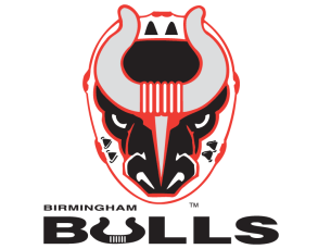 Birmingham Bulls Game