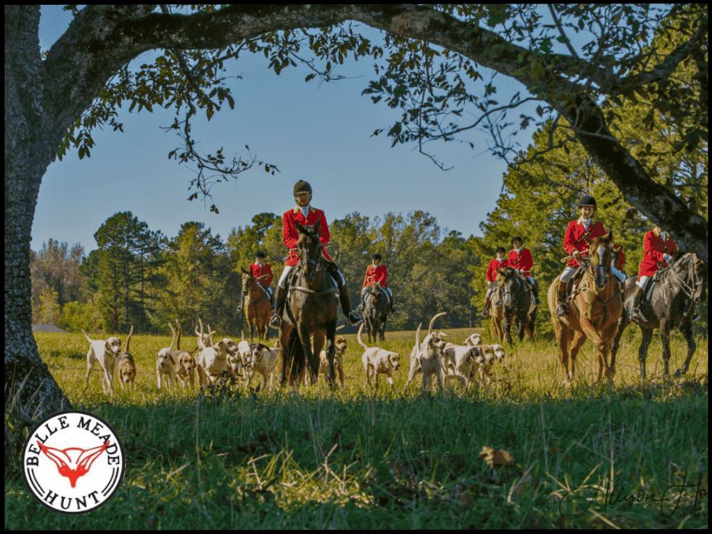 Fox Hunt Observing Experience for 14  with Belle Mea...
