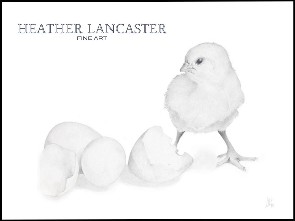 'Chick with Eggs' by Heather Lancaster