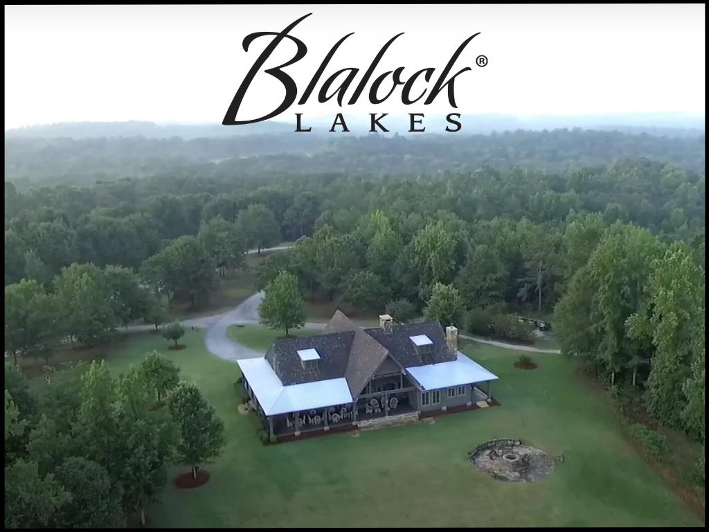 ½ Day Quail Hunt for 4 at Blalock Lakes