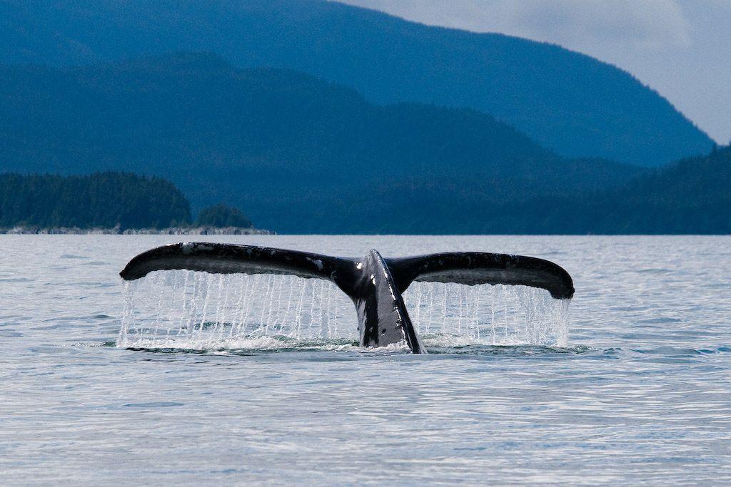 Alaska