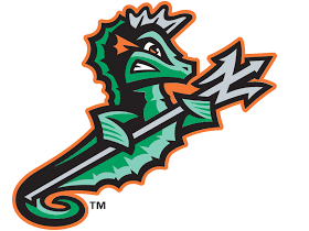 Norfolk Tides Baseball and Swag! + $100 Gift Card - ...