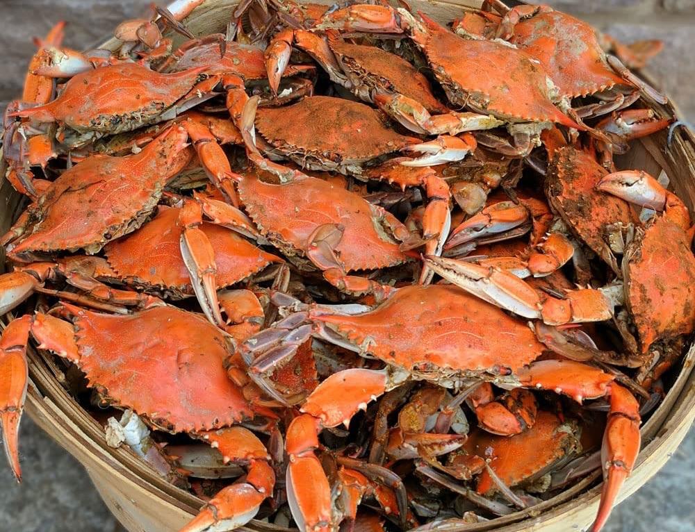 Pickin' & Grinnin' - Bushel of #2 Crabs