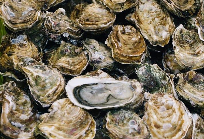 Aw' Shucks - 100 Count of Oysters from Hard Rock Sea...