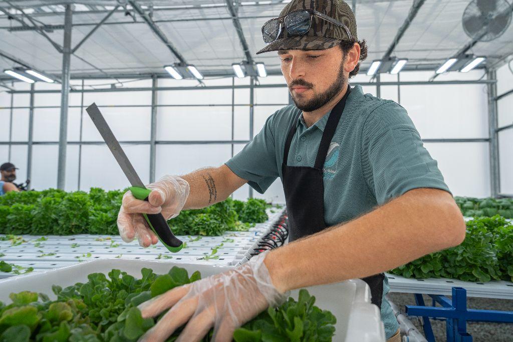 Aquaponics Specialist for a Day