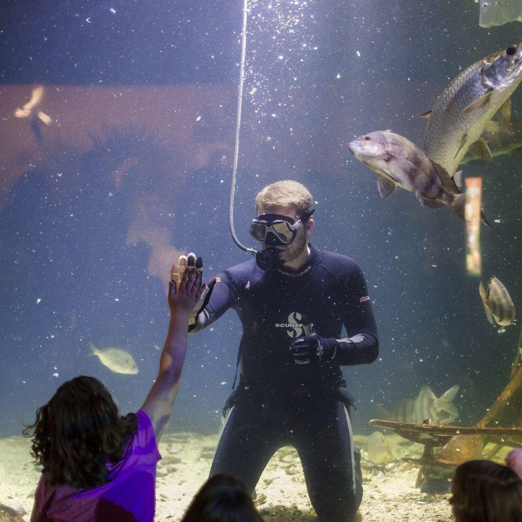 MS Museum of Natural Science Guest Passes