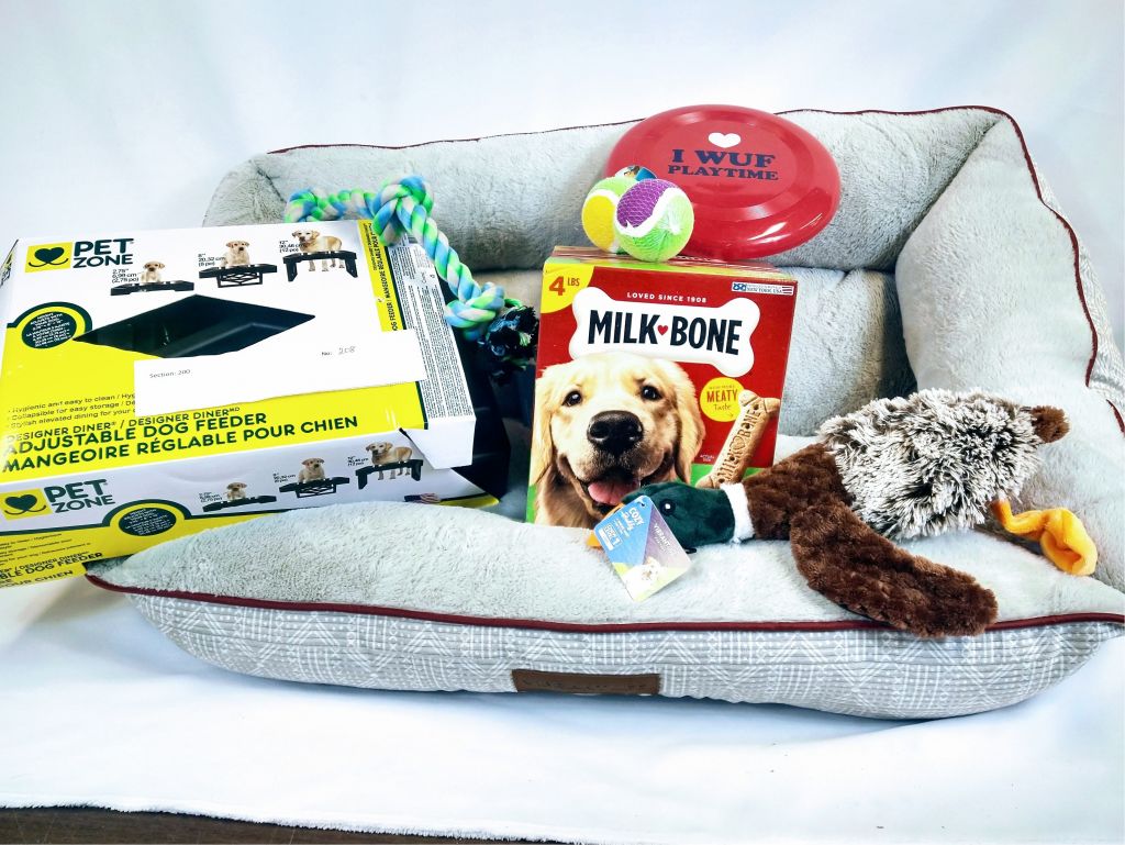Pamper Your Pooch
