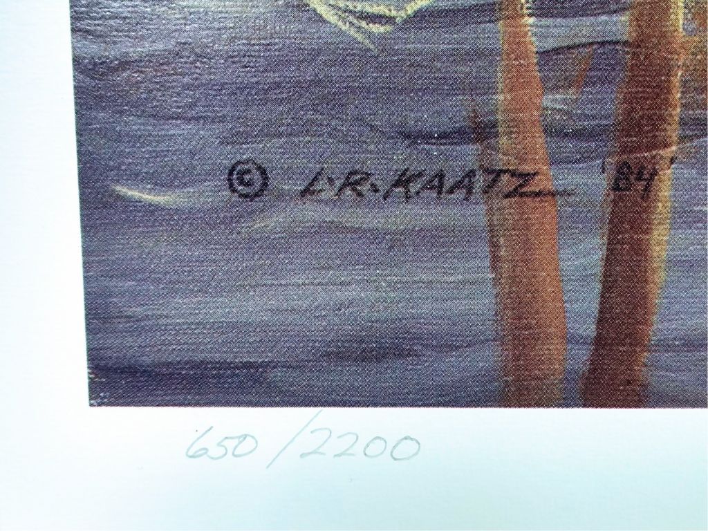 Ducks Unlimited Signed/Numbered Print 