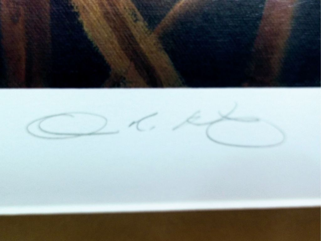 Ducks Unlimited Signed/Numbered Print 