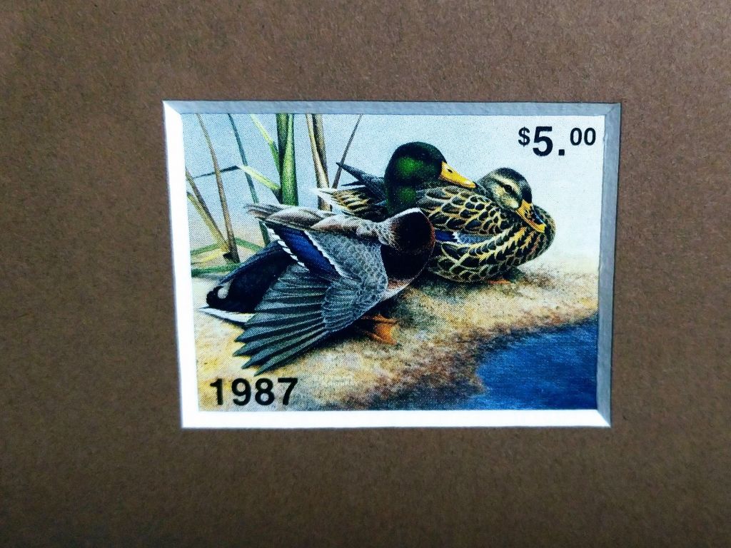 Ducks Unlimited Framed Mallard Print with Duck Stamp
