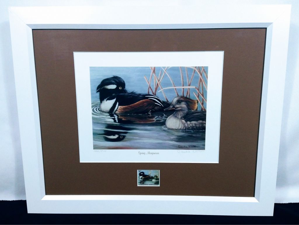 Ducks Unlimited Signed/Numbered Print ''Spring Mergansers''