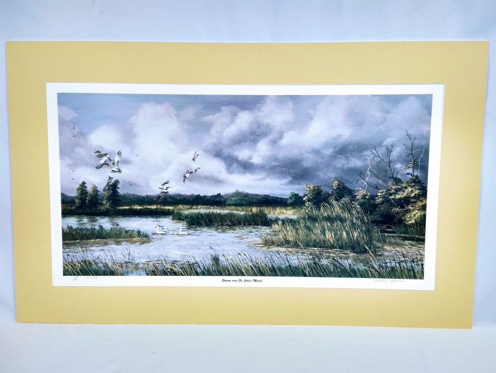 Storms Over St. John Marsh Print