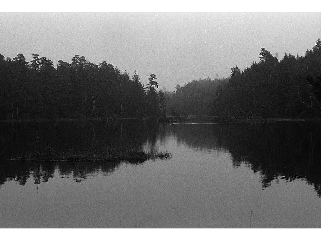 Favor Side - Elsa Apel, First Exposures Mentee