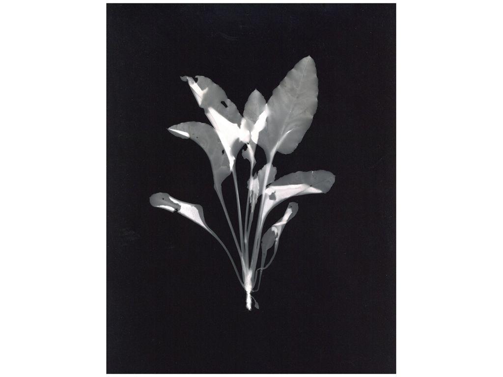 Binh Danh, Friend of First Exposures - Untitled (3)