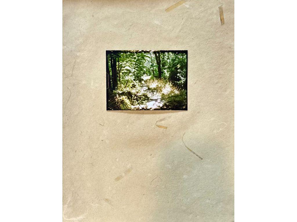 Trina Michelle Robinson, Friend of First Exposures -...
