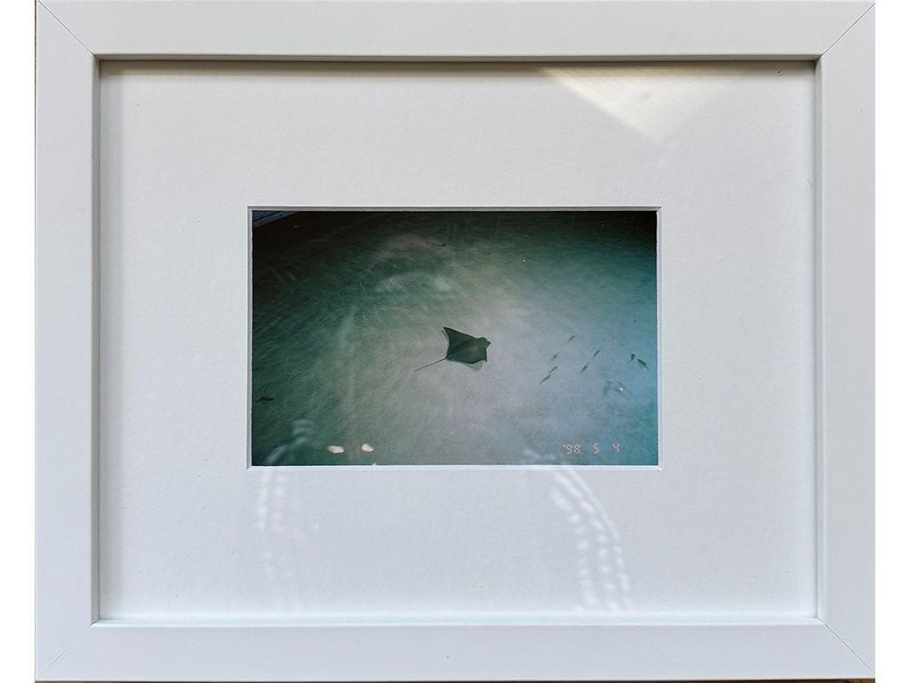 Ray - Clare Coppel,  First Exposures Mentor