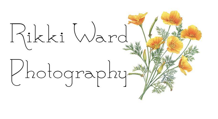 Rikki Ward Photography - Heirloom Family Portrait