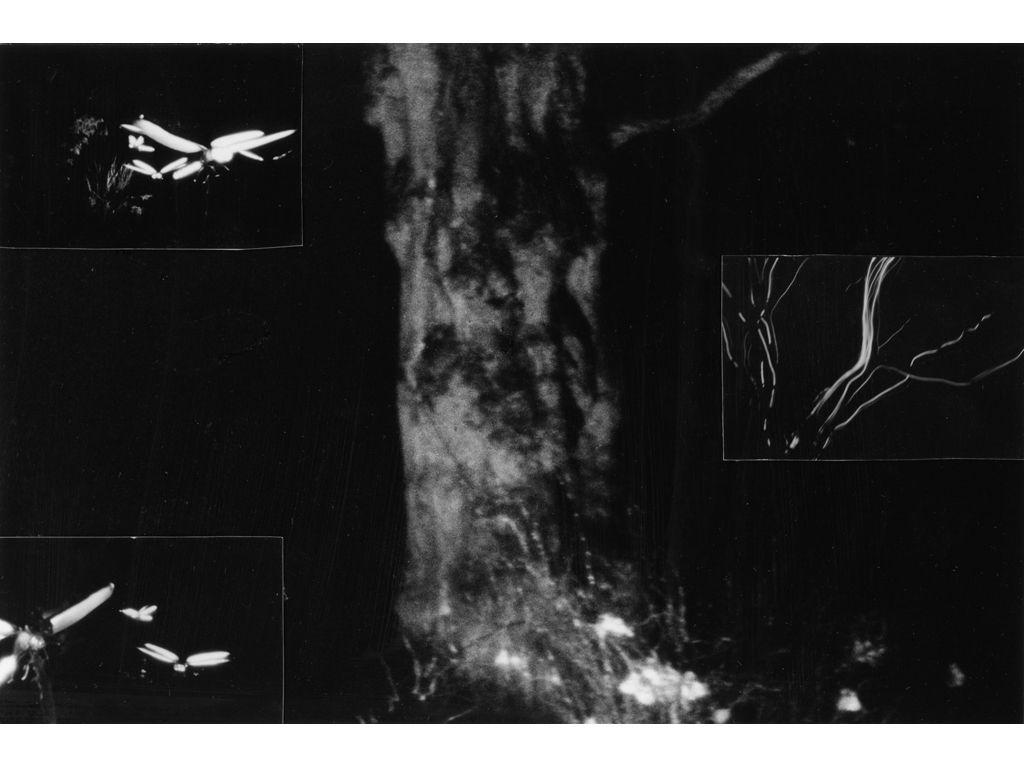 Ryoko Jenkins, First Exposures Mentee - Untitled (Co...