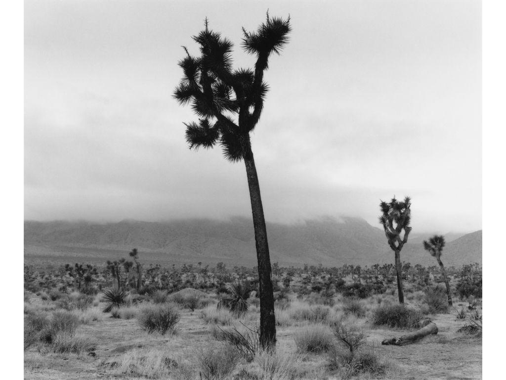 Christine Huhn, First Exposures Mentor - Early Morni...