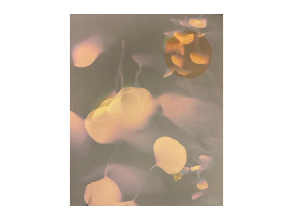 Untitled - Juliana (Juju) Martinez,  First Exposures Mentor