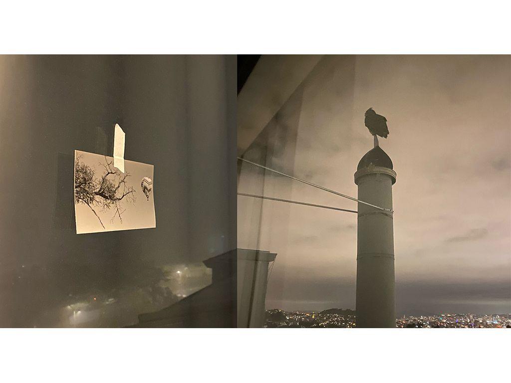 Lost Years. Home. - Yelena Zhavoronkova, Friend of F...