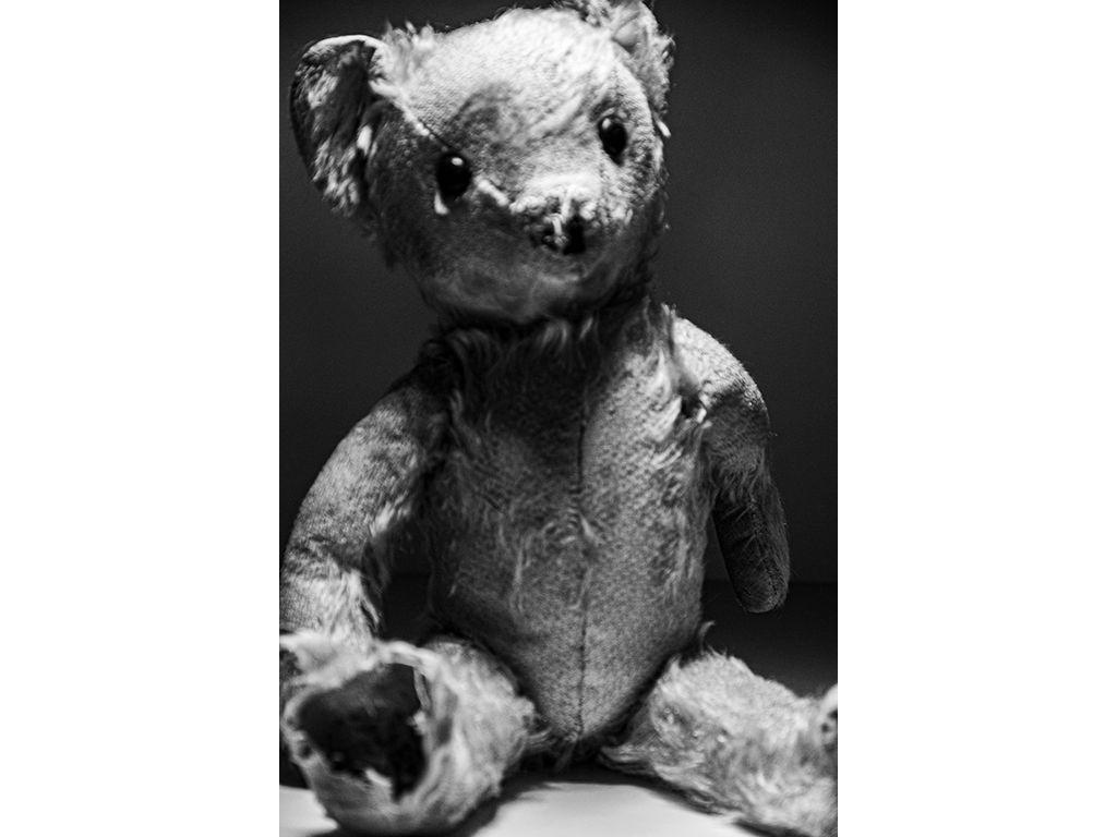 The Velveteen Bear - Samira Kasmai, First Exposures ...