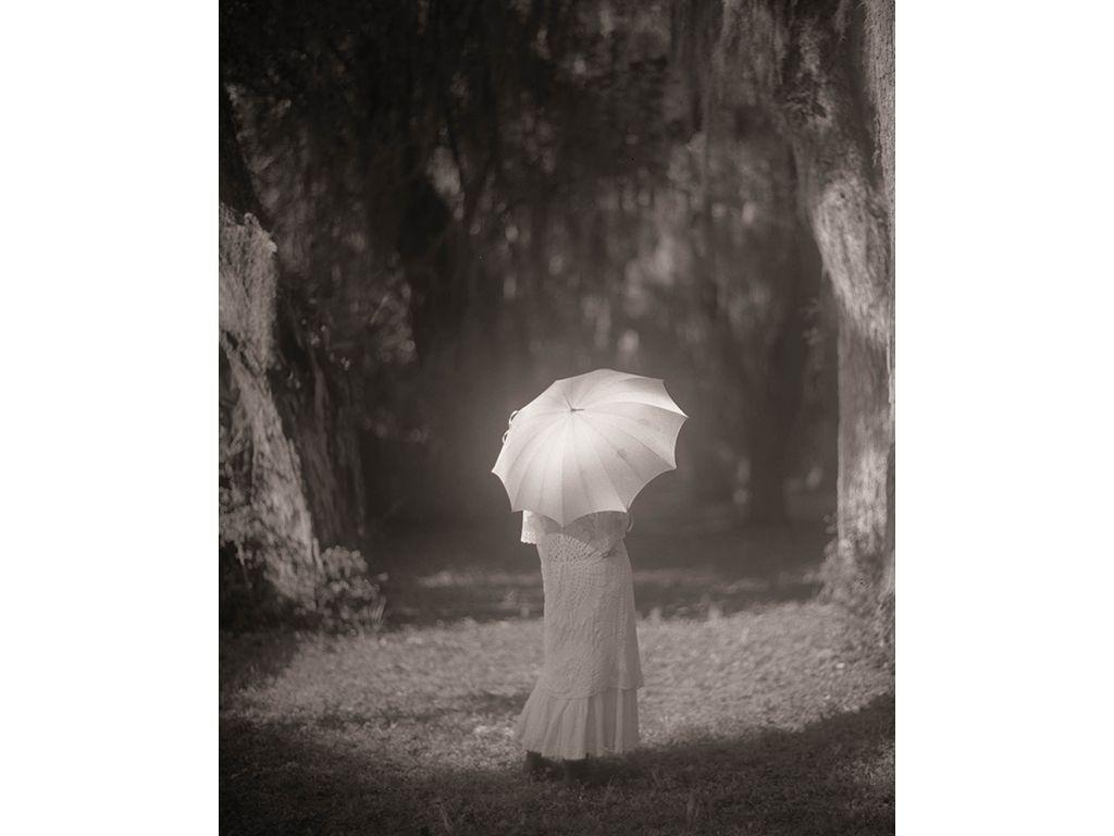 Spanish Moss - Anne Walker, First Exposures Mentor