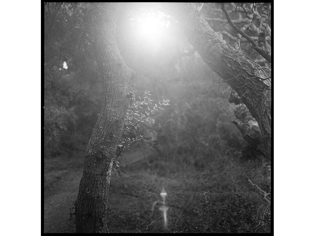 Deena Qabazard, First Exposures Film Instructor - Lu...