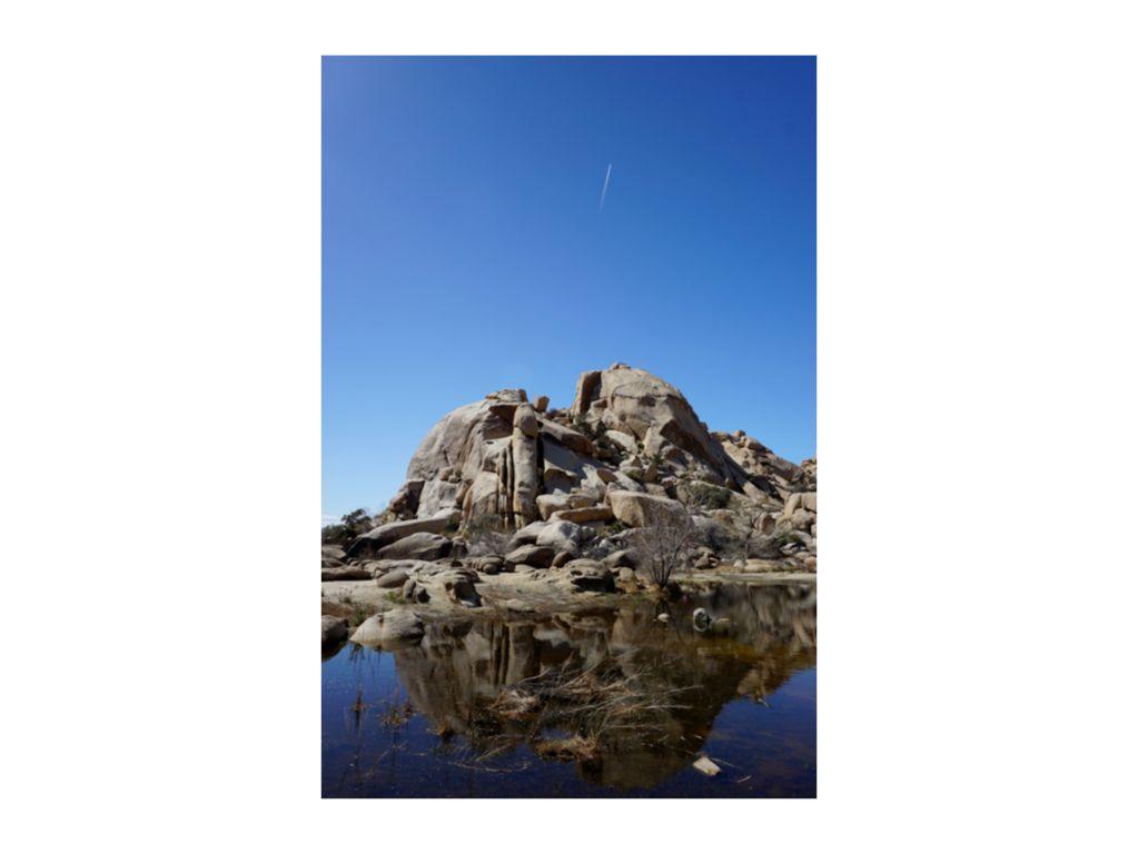 JT #1 - Jose Portillo, First Exposures Development A...