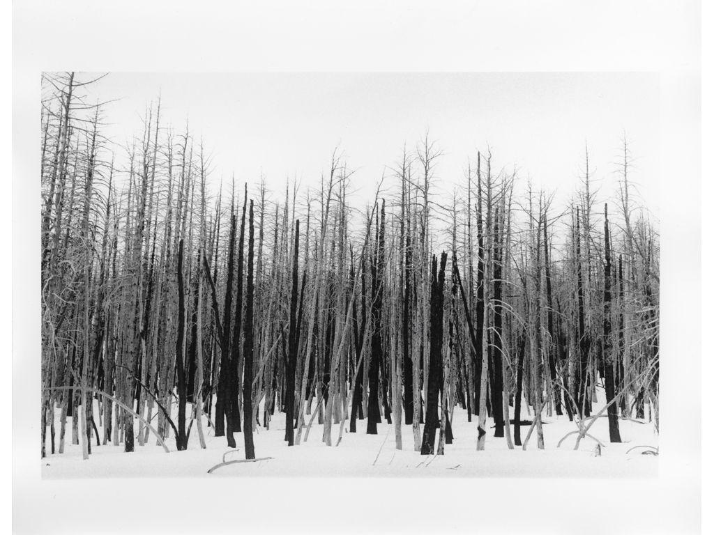Elsa Greta Apel, First Exposures Mentee - Inhale (LF...