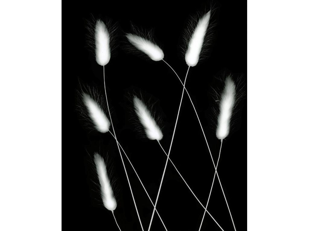 Charlotte Beck, First Exposures Mentor Alum - Untitl...