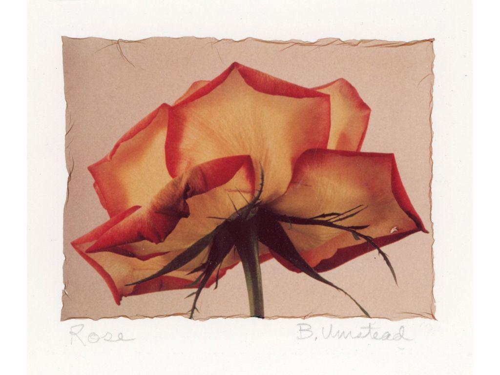 Barry Umstead, Friend of First Exposures - Rose