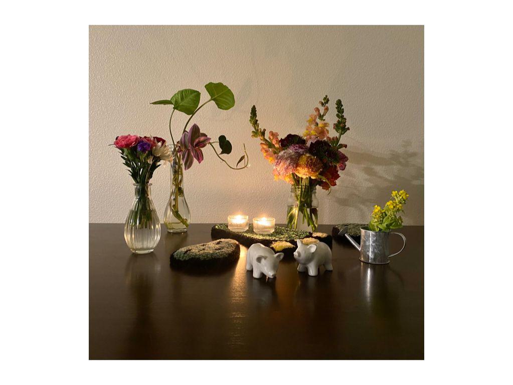 Amor Floriado - Francisco Rojas, First Exposures Alu...