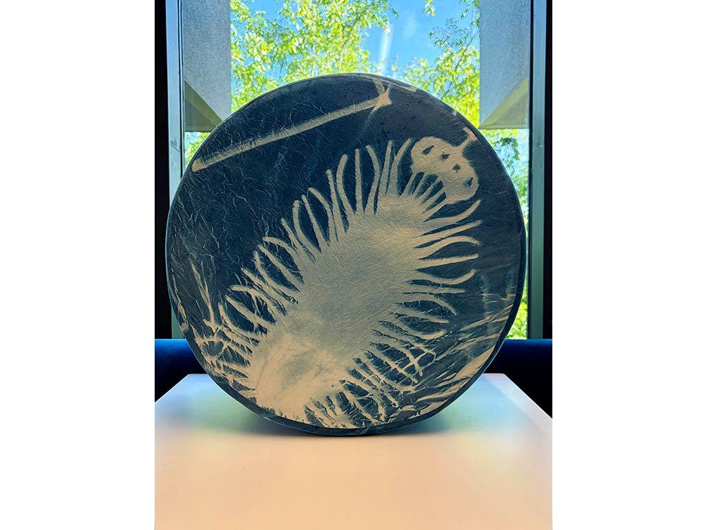 First Exposures 2025/2026 - Cyanotype Pouf (#4)