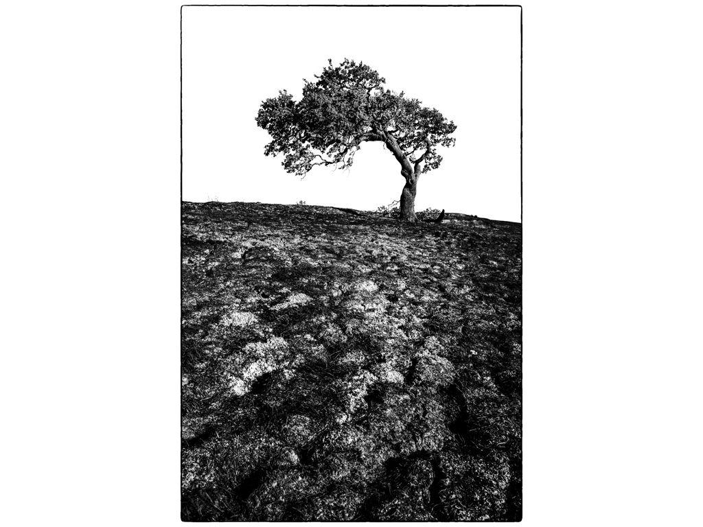 Philip Krayna, Friend of First Exposures - After the...