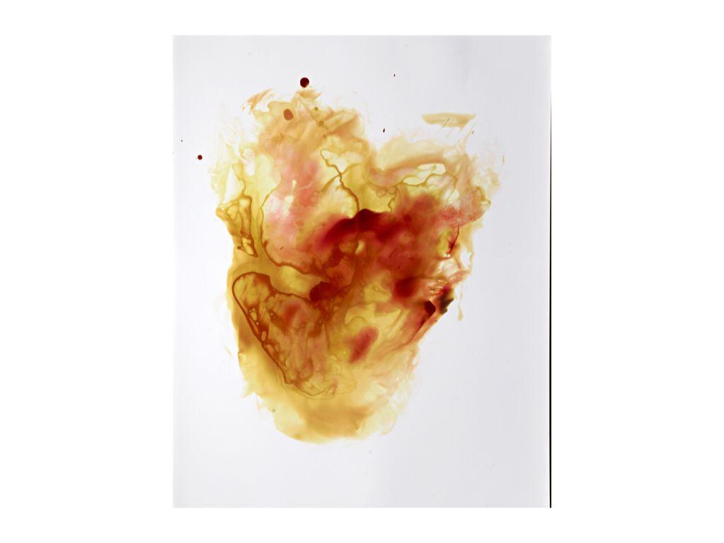 Blood Print #55 - Brianna Tadeo, Friend of First Exp...