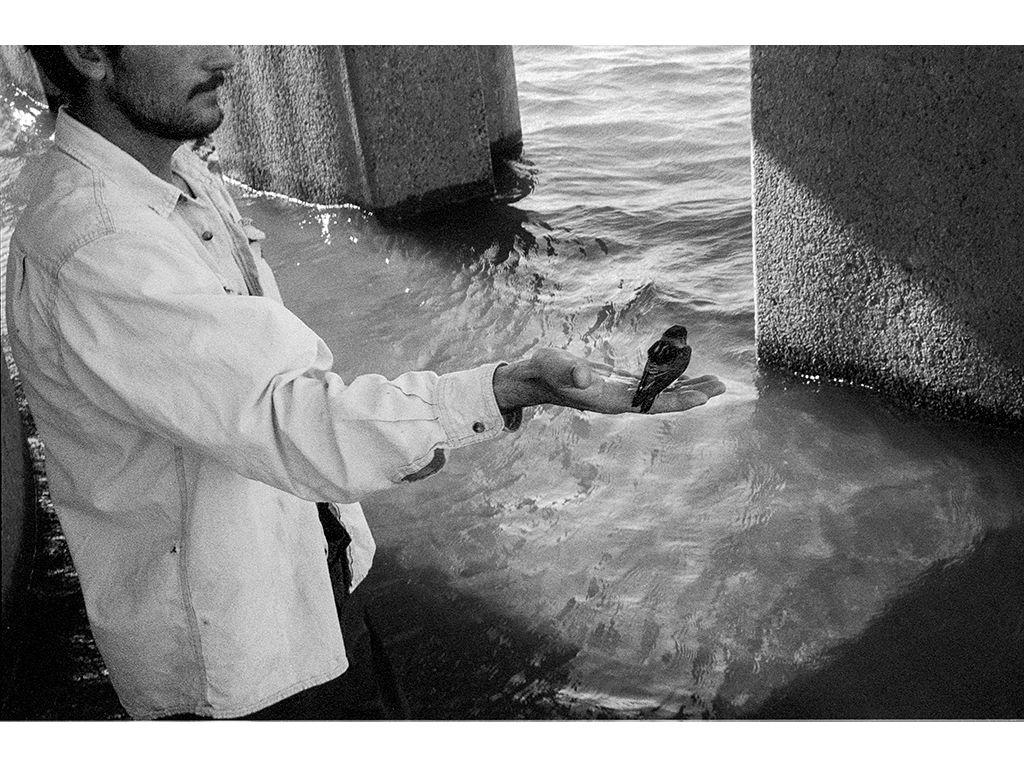 Landfall - Alana Rios, First Exposures Staff Alumni