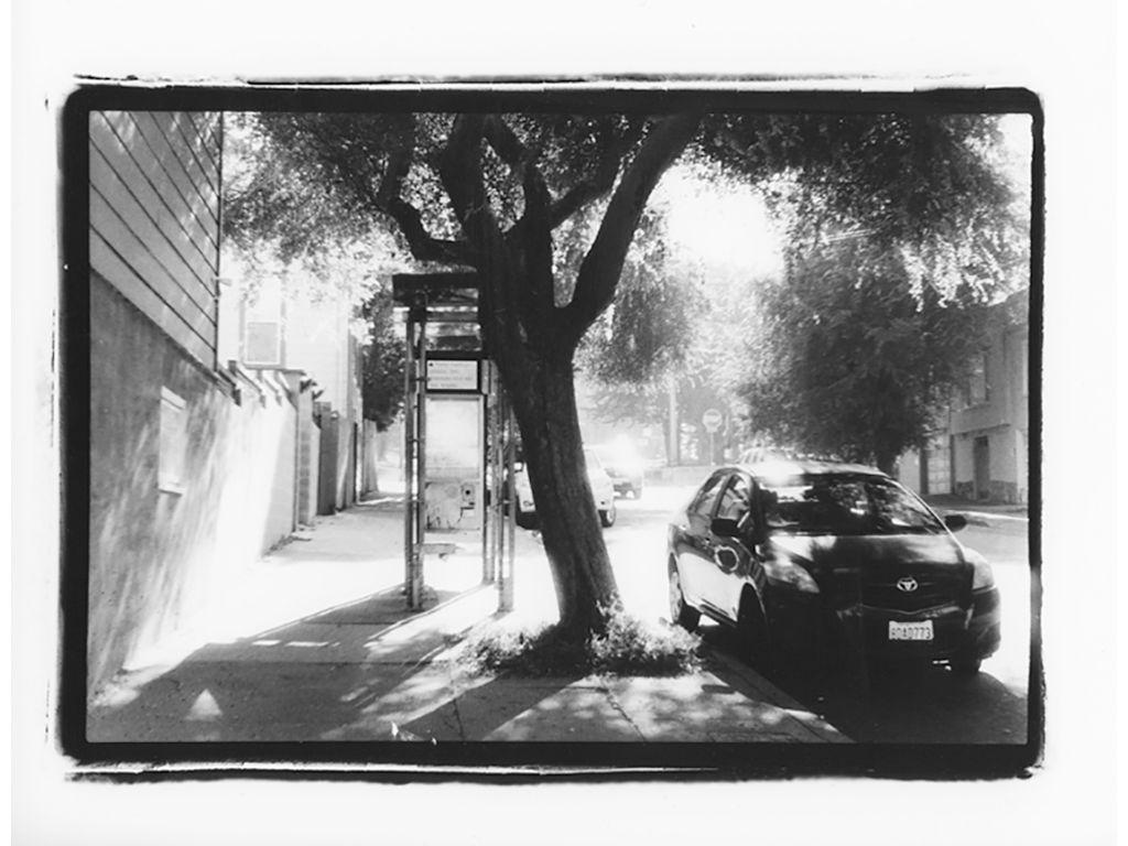 Blakey, First Exposures Mentee - Las Sombras Dentro ...