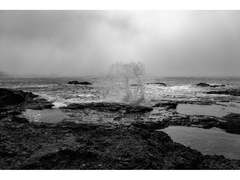 Eisuke Muroga, Friend of First Exposures - The Wave