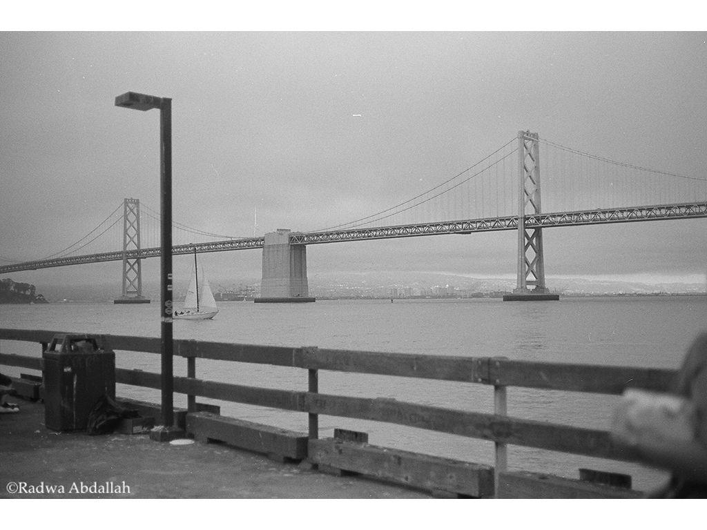 A Decade By The Bay - Radwa Abdallah, First Exposure...
